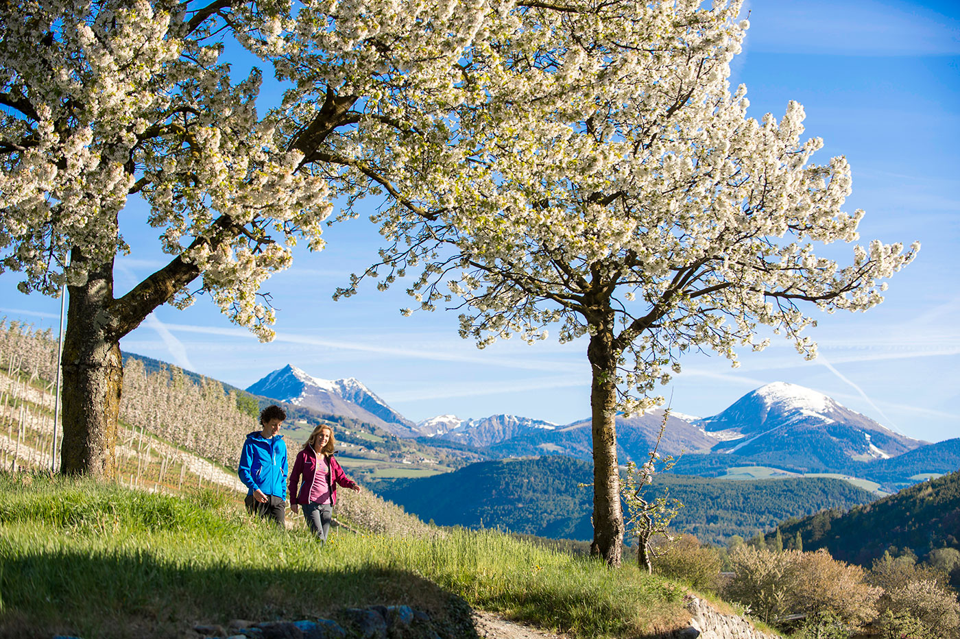 Brixen Fruehling